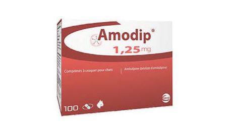 AMODIP® ( Amlodipine )