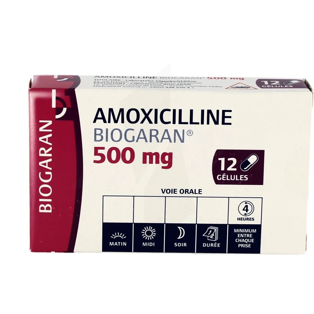 CLAMOXYL® ( amoxicilline )